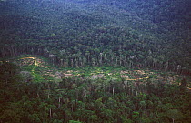 Aerial view of deforestation in the last lowland forest, Khao Pra-Bang Khram WS, Thailand