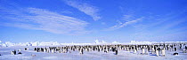 Emperor penguin {Aptenodytes forsteri} colony on Dawson-Lambton Glacier, Weddell Sea, Antarctica