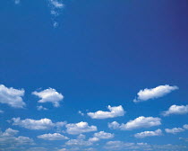 Y-2504 Cumulus clouds in blue sky