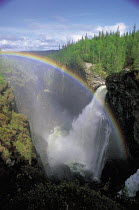 Y-11003 Rainbow over waterfall, Hallingsafallet, Jamtland, Sweden, Europe