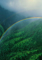 Y-11004 Double rainbow over hillside vegetation, Waimea Canyon, Hauai, Hawaii