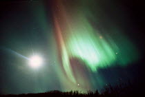 Y-23403 Northern lights / Aurora borealis, Alaska, USA