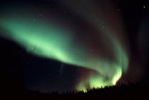 Y-23404 Northern lights / Aurora borealis, Alaska, USA