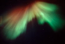 Y-23405 Northern lights / Aurora borealis Brooks Range, Alaska, USA