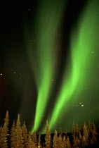 Y-10505 Northern lights / Aurora borealis Brooks Range, Alaska, USA.