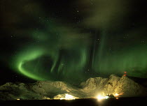 Y-10602 Northern lights / Aurora borealis over mountains, Honningsvag, Norway, Europe