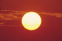 Y-10101 Bright sun in orange sky