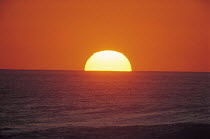 Y-10003 Sun sinking below horizon over sea