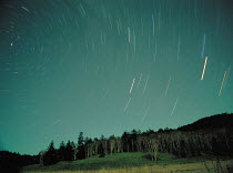 Y-12204 Timelapse view of star paths above forest, Japan