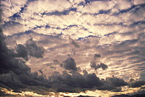 Y-780 Cloud formations in evening sky