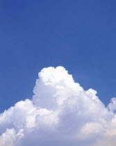 Y-3405 Cumulus clouds in blue sky