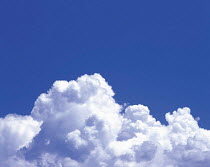 Y-3205 Cumulus clouds in blue sky