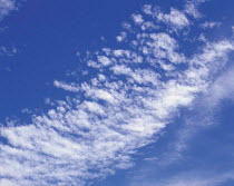 Y-4205 Altocumulus clouds in blue sky