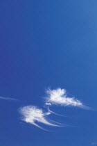 Y-3701 Cirrus clouds in blue sky