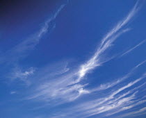 Y-3806 Cirrus clouds in blue sky