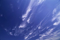 Y-3805 Cirrus clouds in blue sky