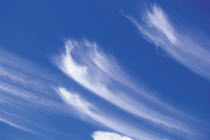 Y-3905 Cirrus clouds in blue sky