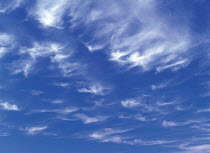 Y-3801 Cirrus clouds in blue sky