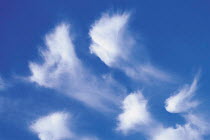 Y-3901 Cirrus clouds in blue sky