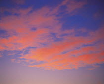 Y-7606 Pink clouds in evening sky at sunset
