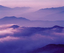 Y-22706 Mist and clouds in mountain landscape, Norikuradake, Nagano, Japan