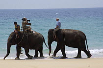 Sir David Attenborough riding Indian elephant during filming of 'Life of Mammals' for BBC tv, Thailand, 2002