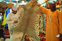 Leopard skin {Panthera pardus} for sale in duty free shop, Lagos airport, Nigeria 2002