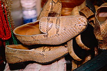 Python snake skin shoes for sale in Lagos airport, Nigeria West, Africa