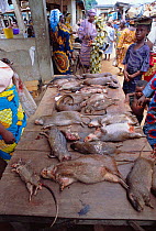 Bush meat - dead wild animals for sale on market stall, Epe, Lagos, Nigeria, West Africa 2002