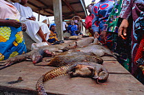 Bush meat -- dead wild animals for sale on market stall, Epe, Lagos, Nigeria, West Africa. 2002