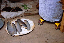 African bony tongue fish for sale as food {Hetorotis niloticus} endangered species Lagos, Nigeria, West Africa 2002