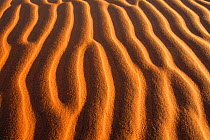 Sand dune ripples, abstract Namib Naukluft Park, Namibia
