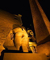 The Obelisk and Ramses II floodlit at night, Luxor Temple, Luxor, Egypt