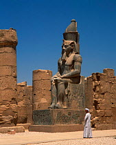 Statue of Ramses II, Luxor Temple, Luxor, Egypt