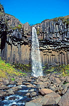 Svartifoss 'Black Waterfall' with basalt rock columns, Skaftafell NP, Iceland