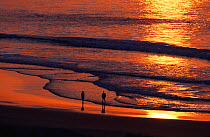 People walking on beach at dawn, Plettenburg Bay, South Africa