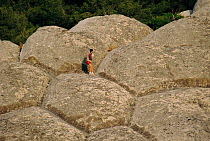 Hexagonal crystallisation of sandstone, Toulon, Provence, France