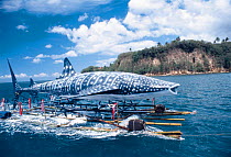 Whale shark model made of bamboo and rice sack material for whale shark festival in Donsol, a small fishing village in the Philippines 2002
