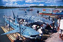 Whale shark models made of bamboo and rice sack material for whale shark festival in Donsol, a small fishing village in the Philippines 2002