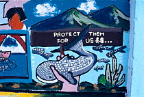 Mural at Whale shark festival, Donsol, Philippines.