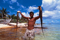 Octopus hunter with catch, Arenas Reef, Sulu Sea, Philippines