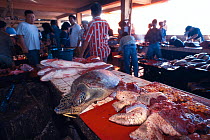Slaughtered sea turtles in Asian fish market, Manado, Indonesia