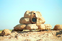 Dungcam - roving remote controlled wide angle video camera, disguised as elephant dung, used during filming of BBC wildlife television programme 'Elephants - Spy in the Herd' 2003