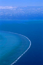 Aerial view of Great barrier reef, Queensland, Australia