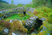 Ancient Pict building near shores of Loch Duich, Scotland, UK