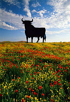 A Toros de Osborne sign and Spring wild flowers, including Common poppies, Andalucia, Spain