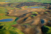 Prairie potholes, Missouri Coteau, North Dakota, USA