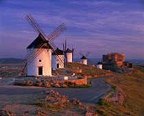 Windmills in Consuega in evening light, Castilla La Mancha, Spain