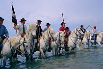 Traditional horsemen riding white horses at feast of the gitans, Camargue, France