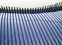 Shadows on white sand from fence preventing sand dune erosion. Gulf Is NS, Florida USA